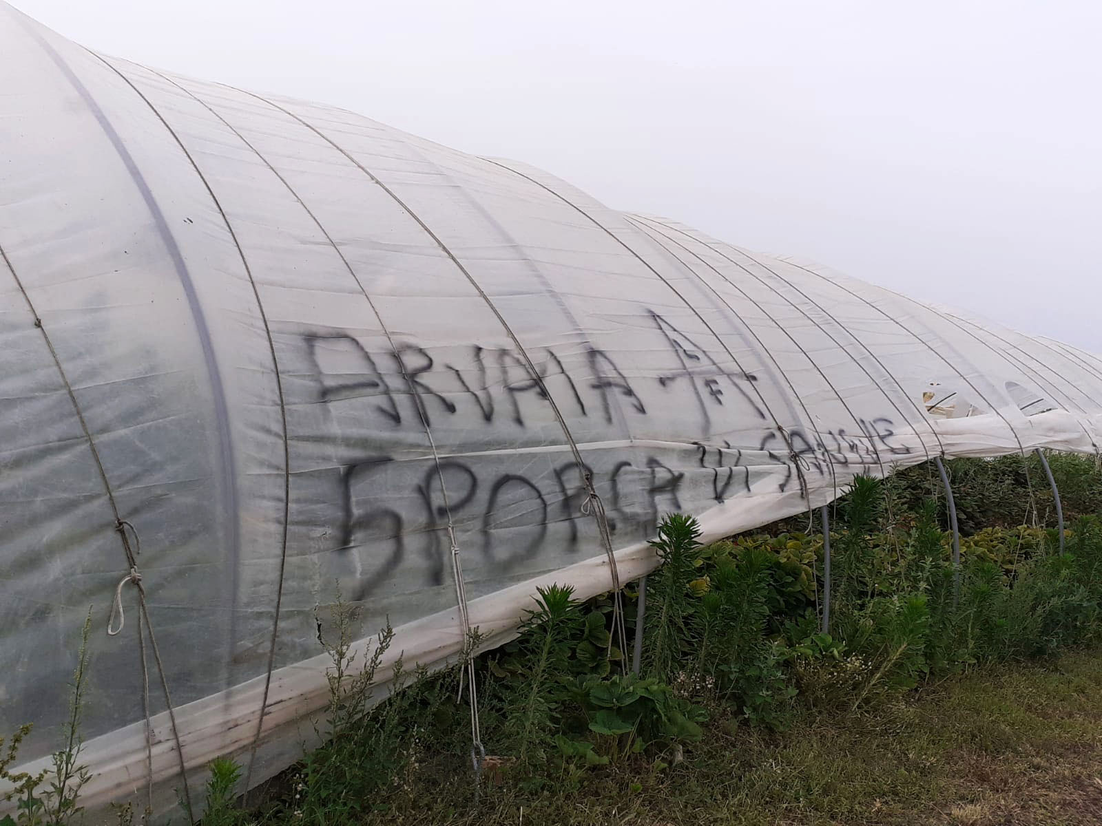 Violenza e devastazioni contro la cooperativa agricola ARVAIA